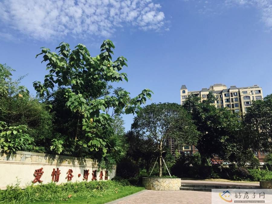 实景图