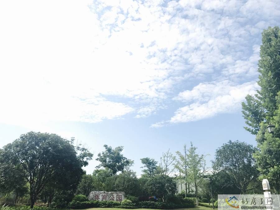 实景图