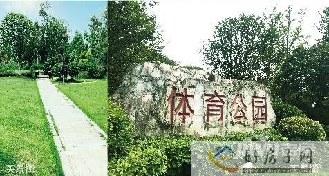 实景图