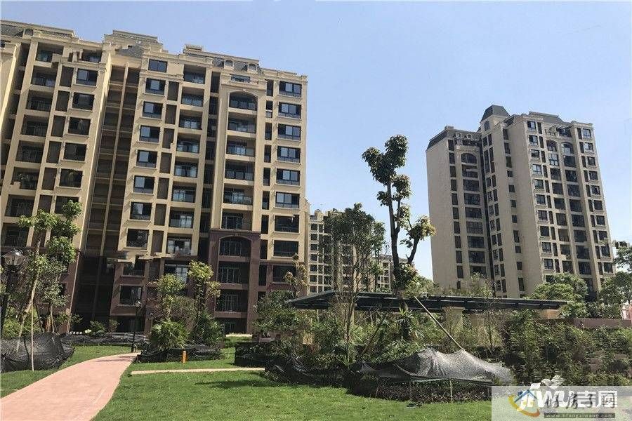 实景图