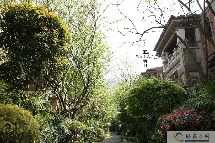 实景图