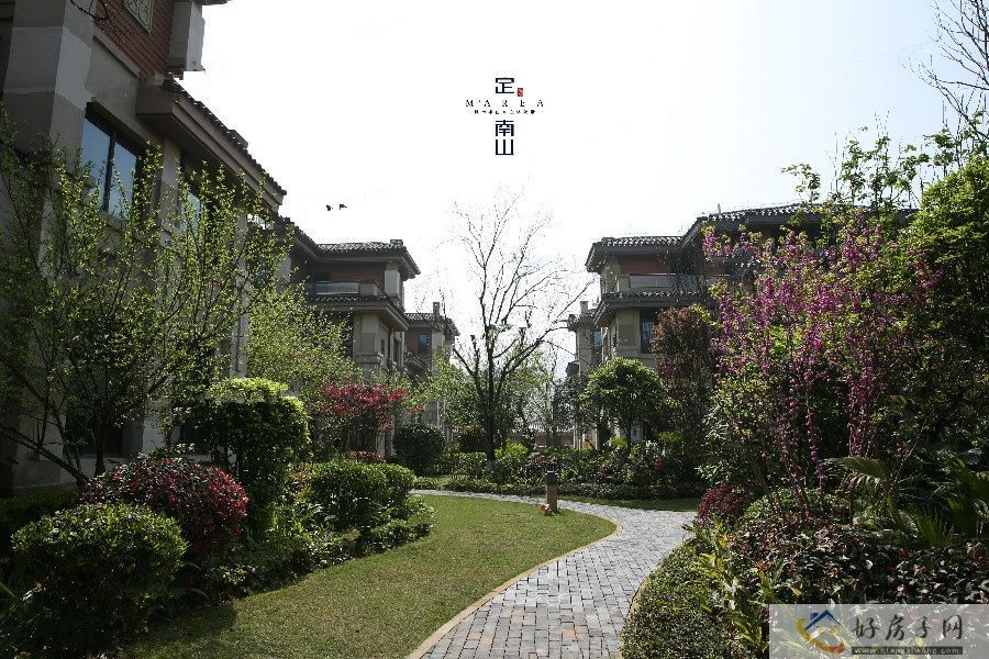 实景图