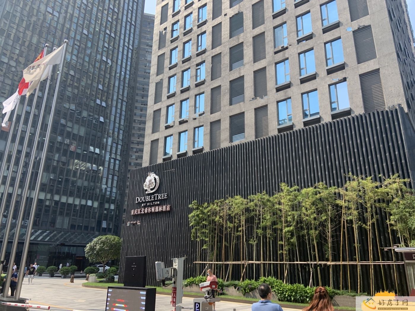 实景图