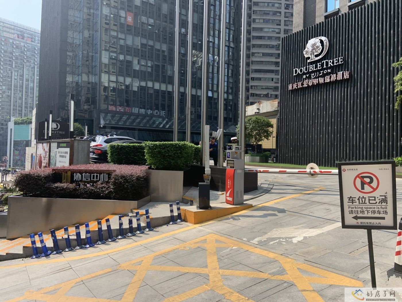 实景图
