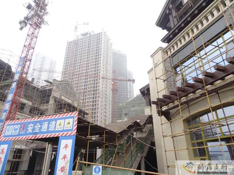 实景图