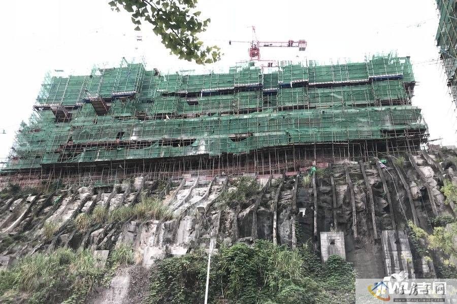 实景图