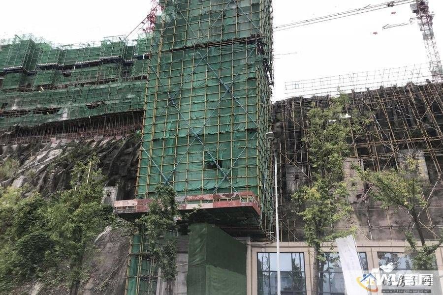 实景图