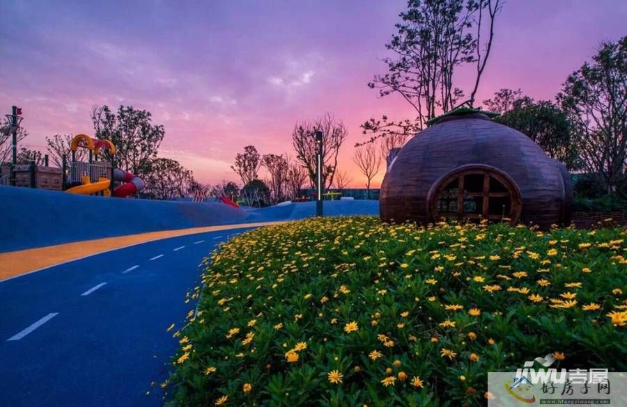 实景图