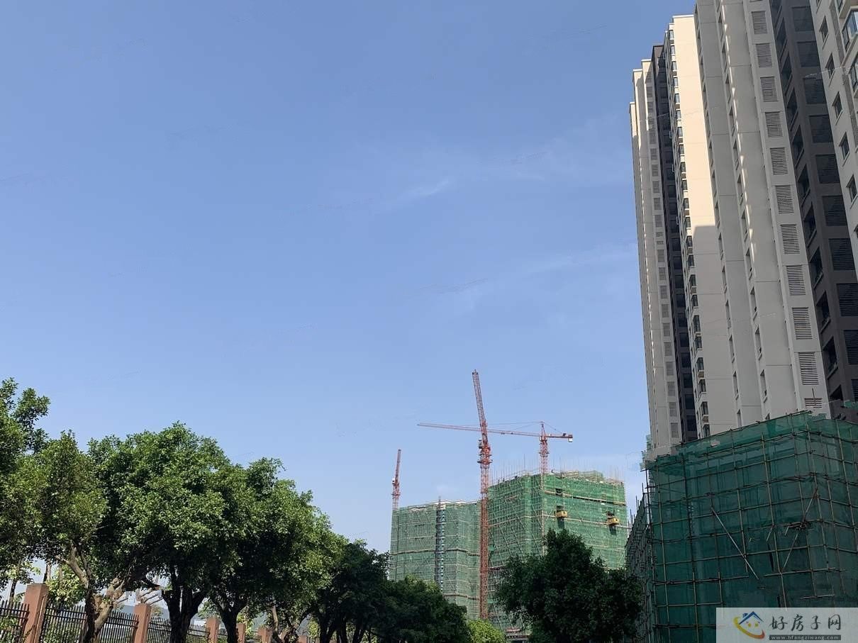 实景图
