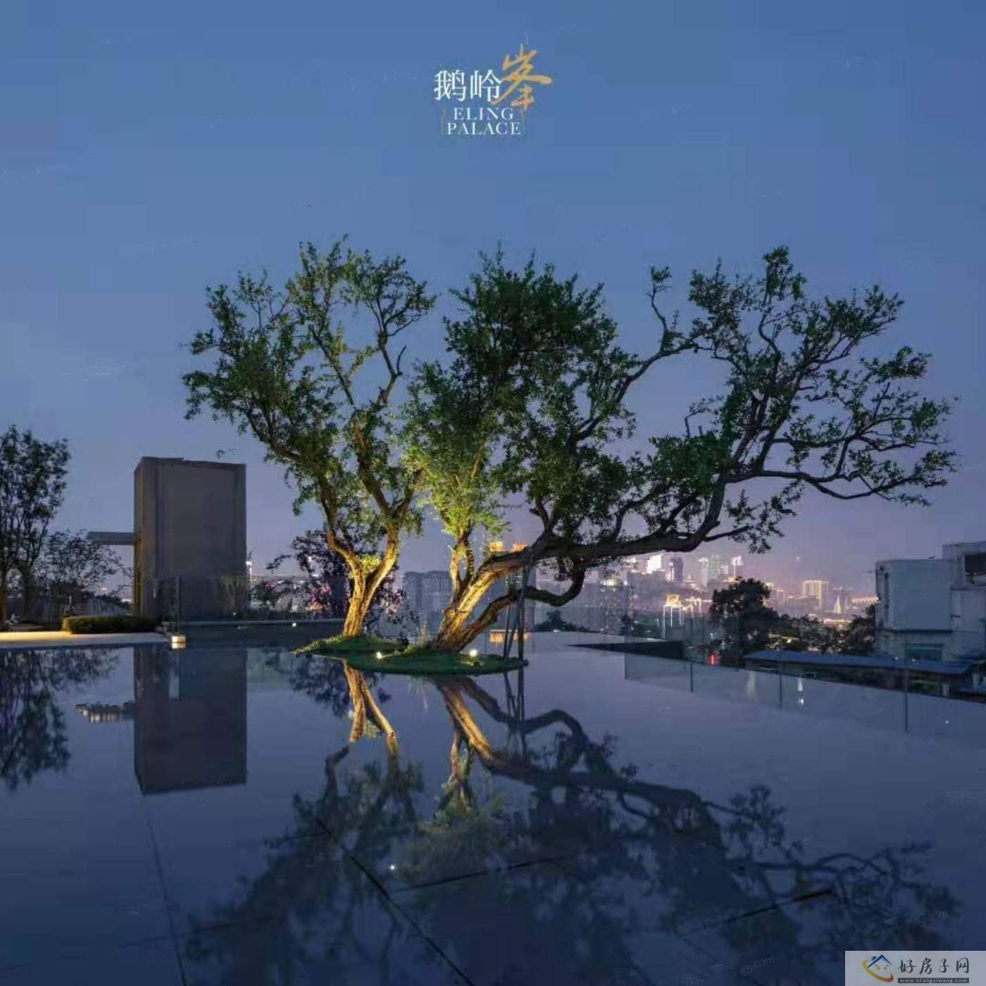 实景图