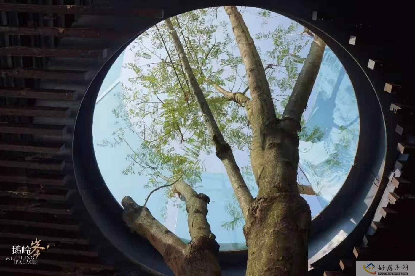 实景图