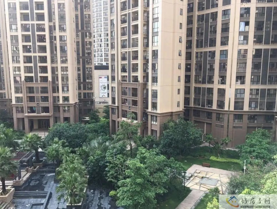 实景图