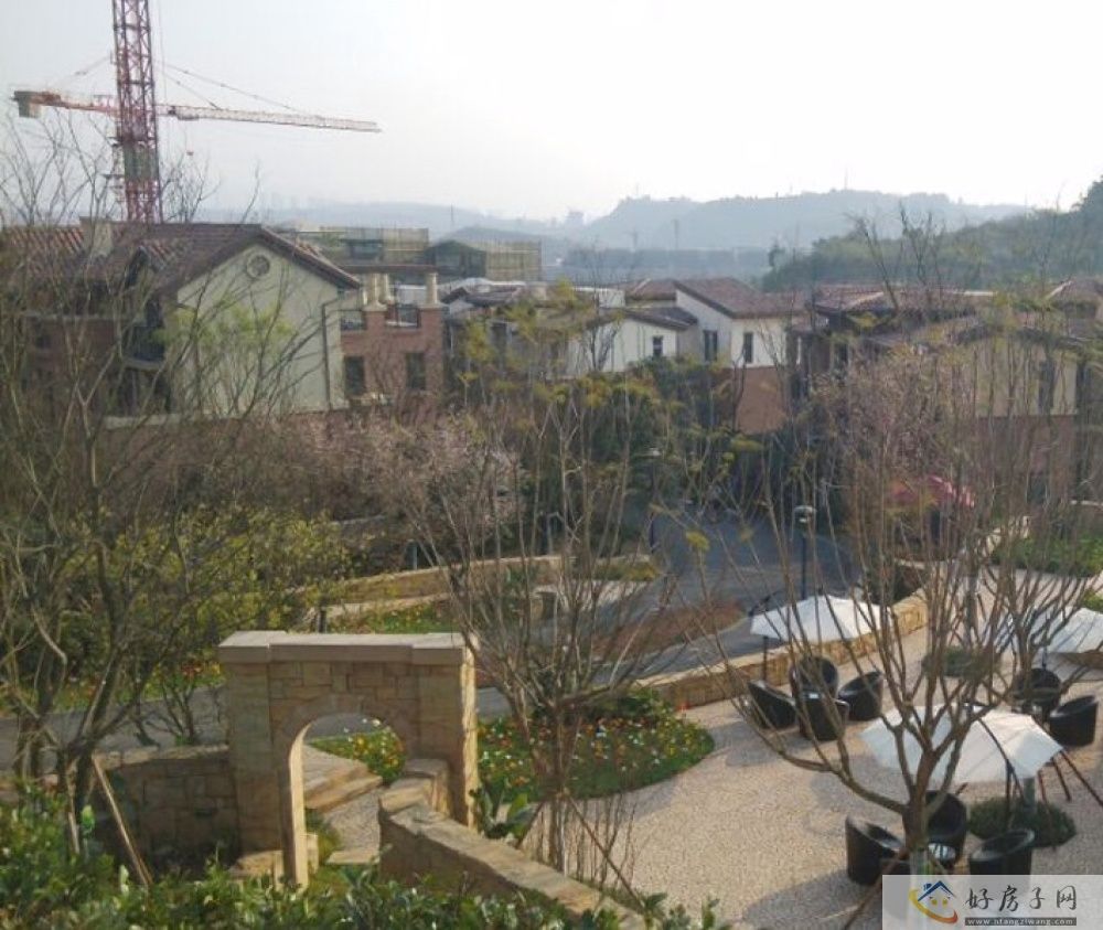实景图