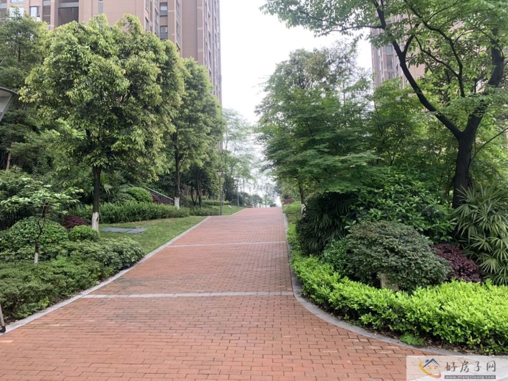 实景图