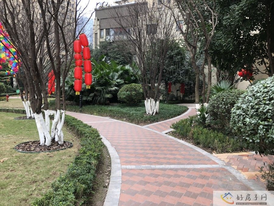 实景图