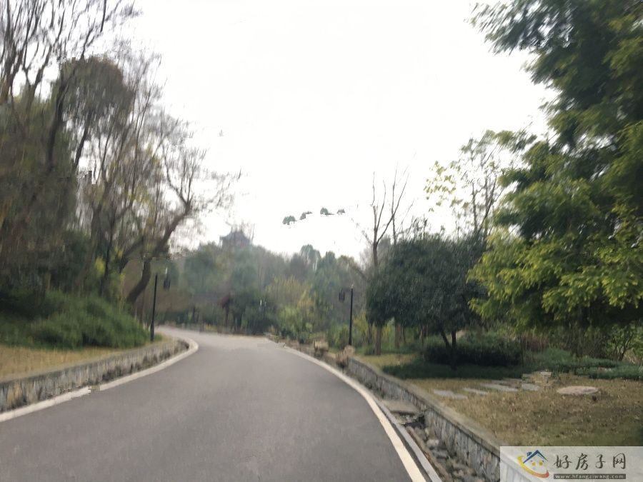 实景图
