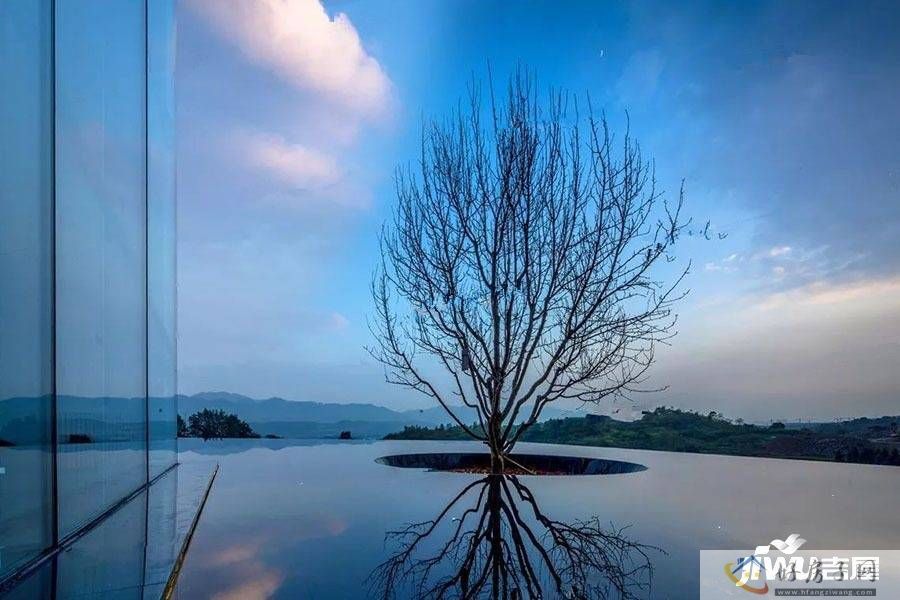 效果图