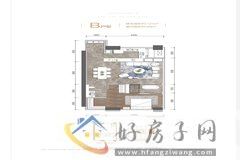 1室2厅2卫0厨 