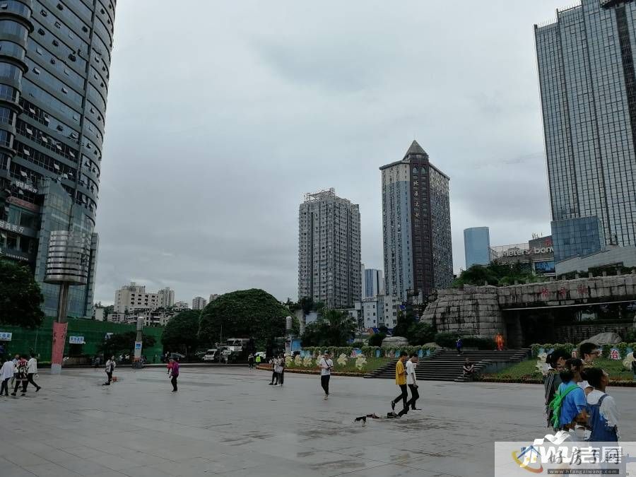 实景图