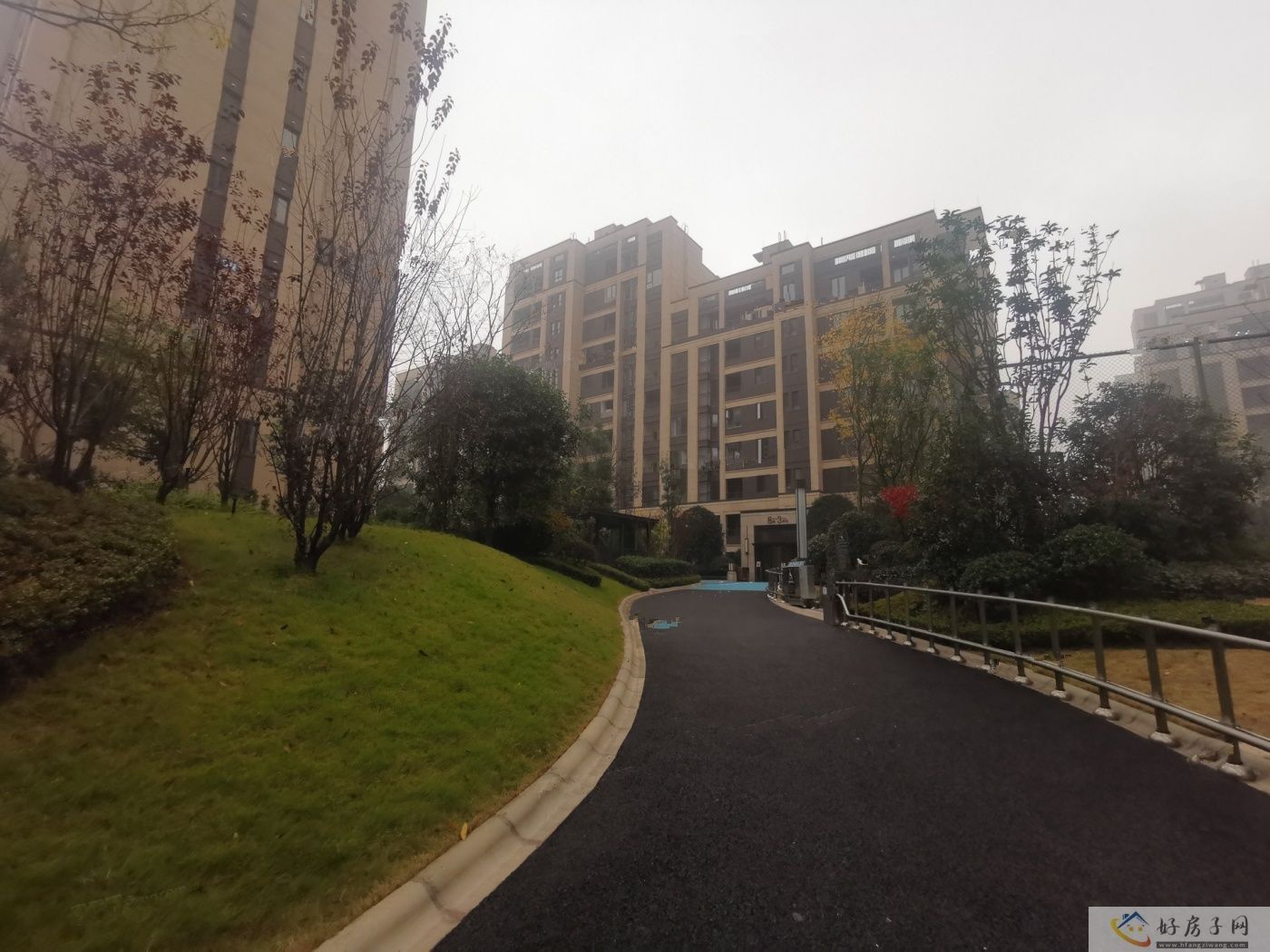 实景图