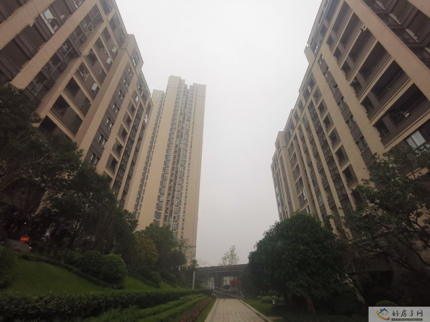 实景图