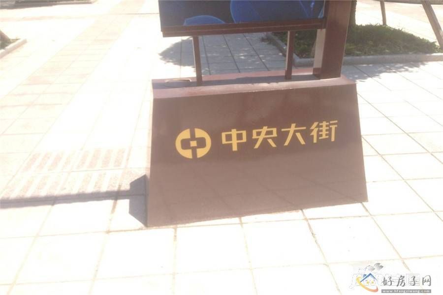 实景图