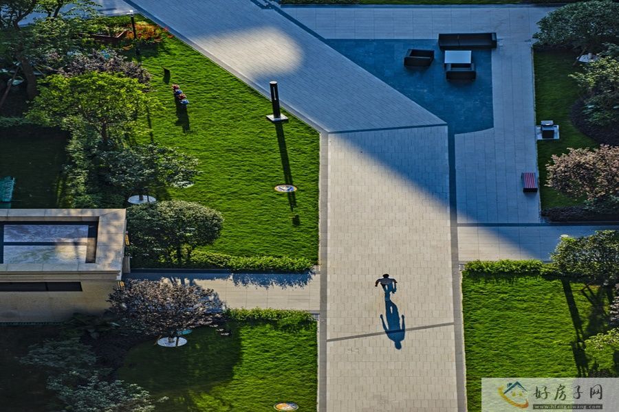 实景图