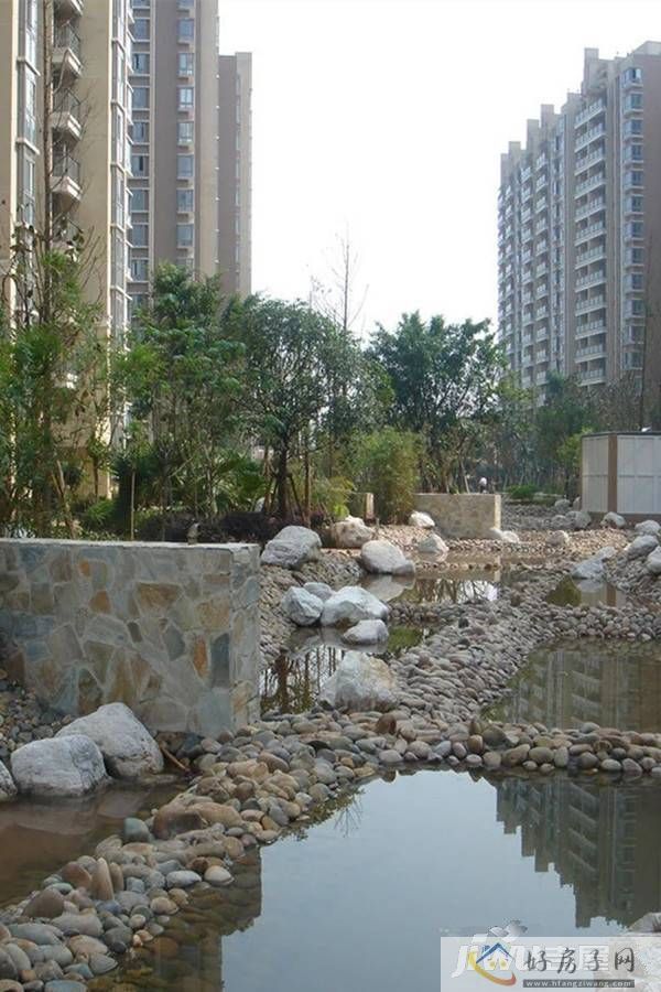 实景图