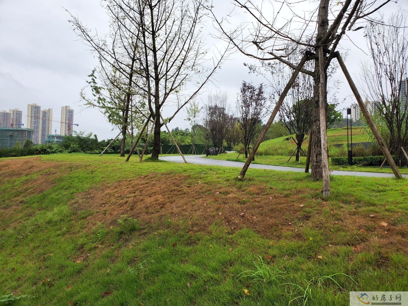实景图