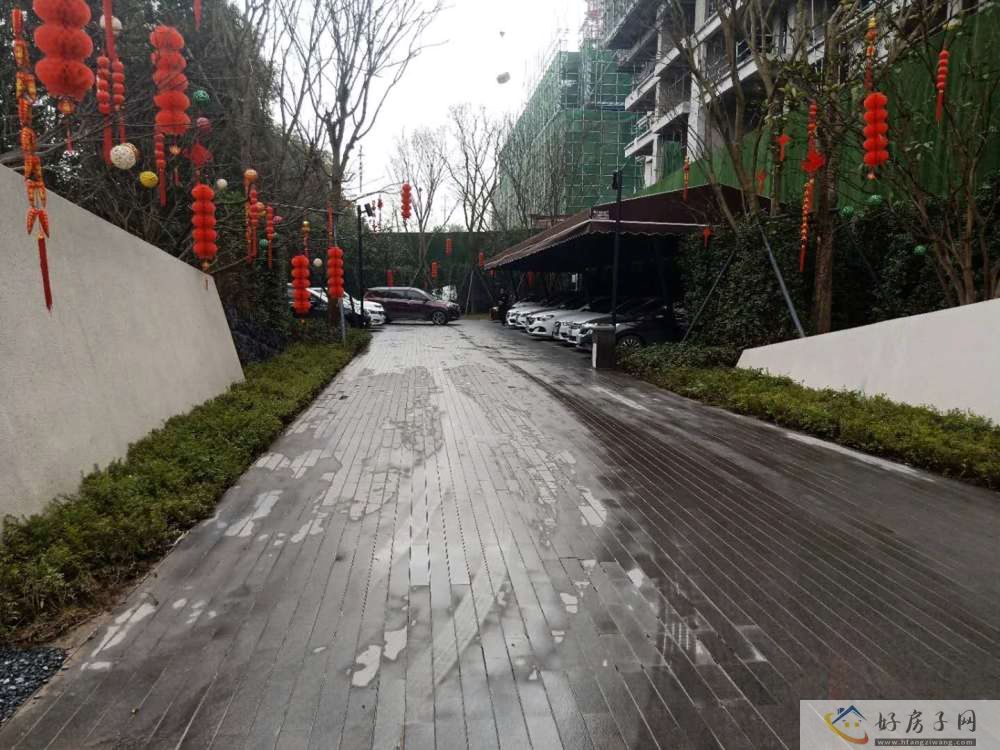 实景图