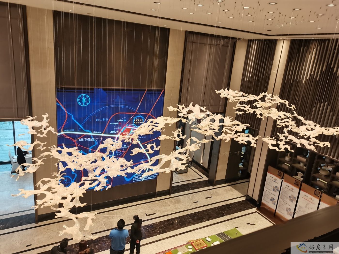 实景图