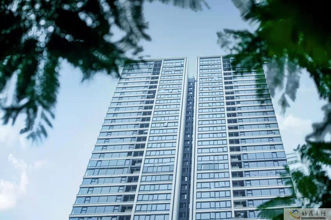 实景图