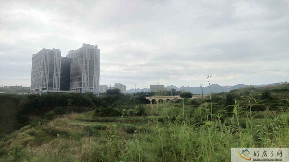 实景图