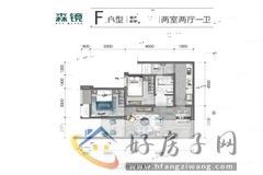 2室2厅1卫0厨 