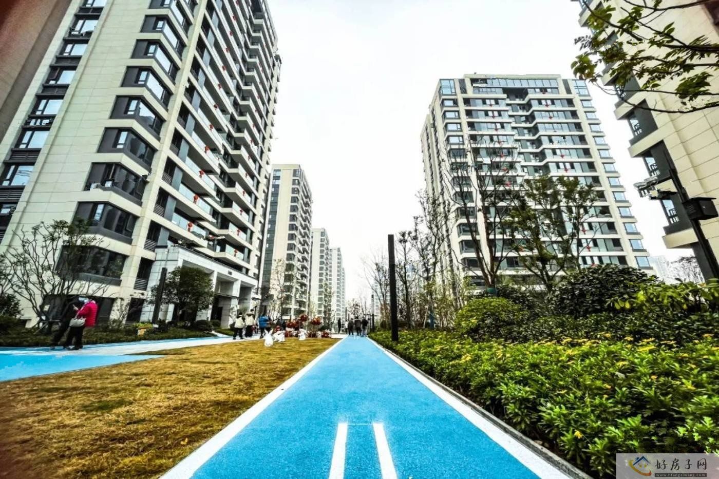 实景图