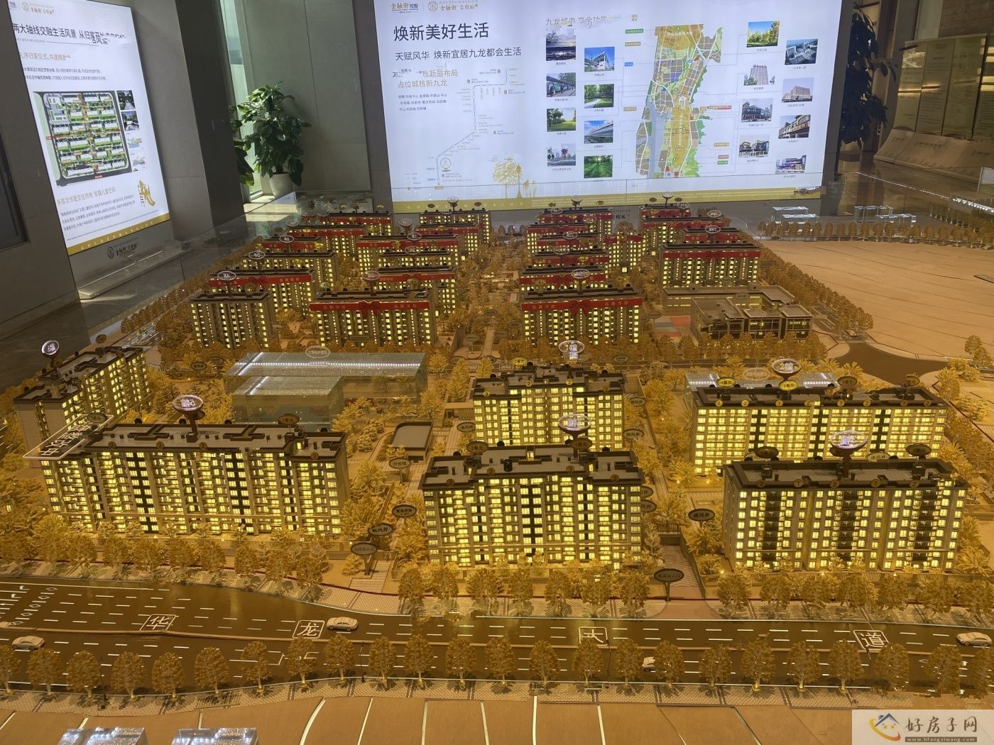 实景图