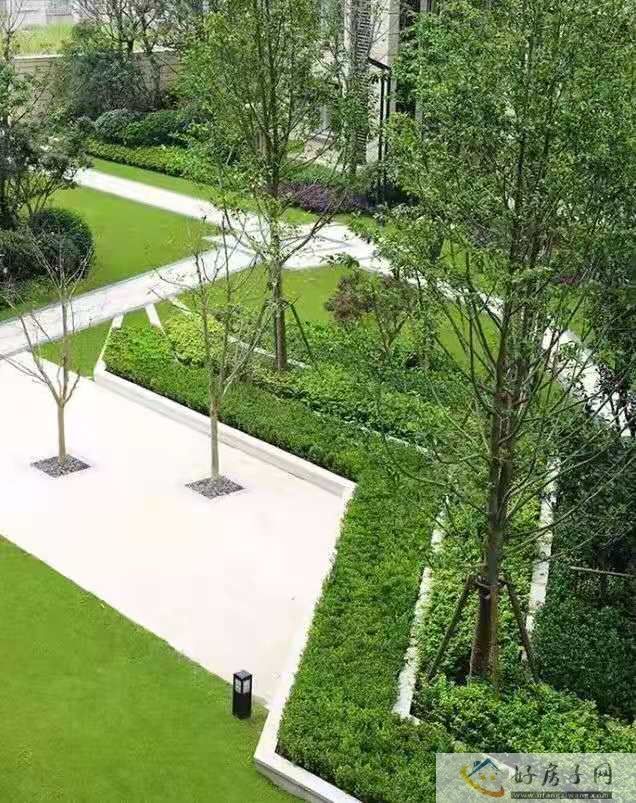 实景图