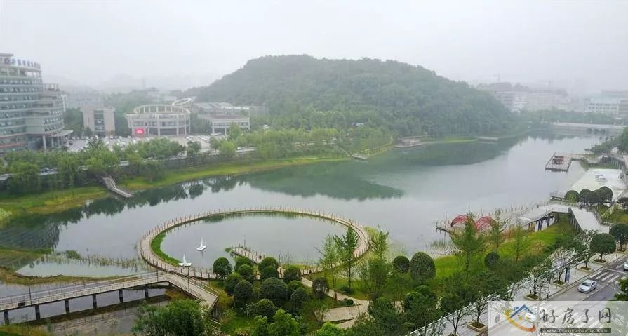 实景图