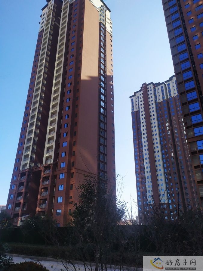 实景图