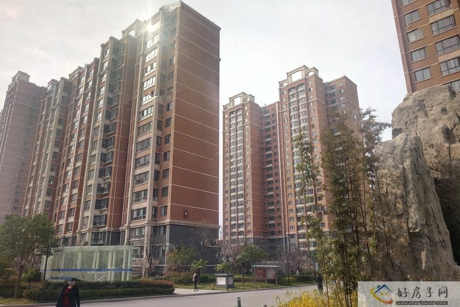 实景图