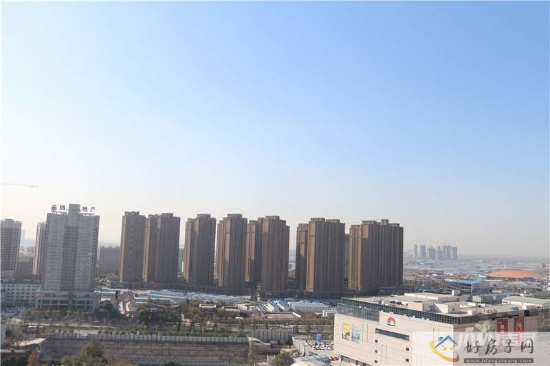实景图