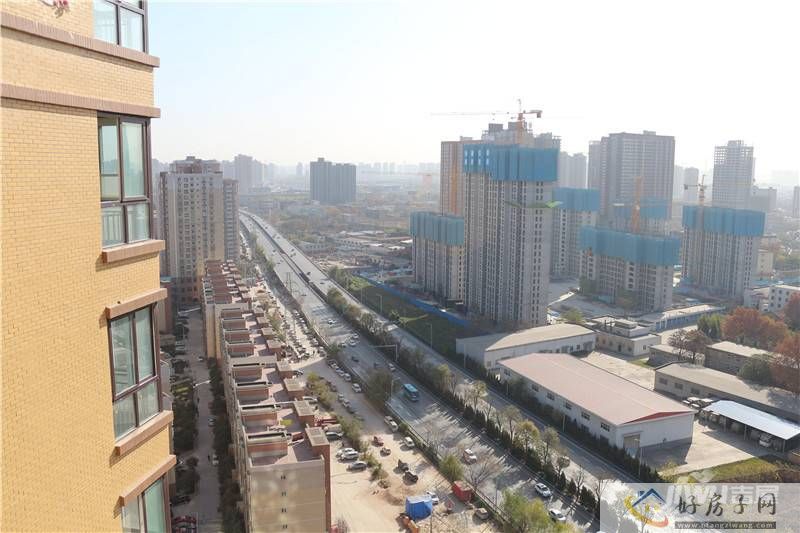 实景图