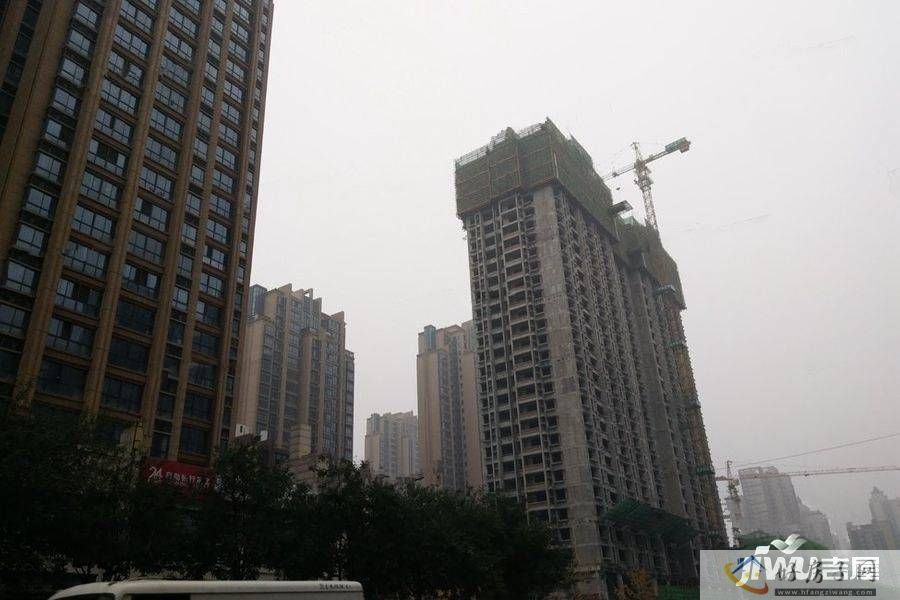实景图