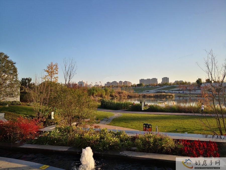 实景图