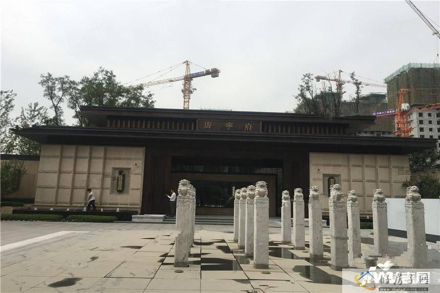 实景图