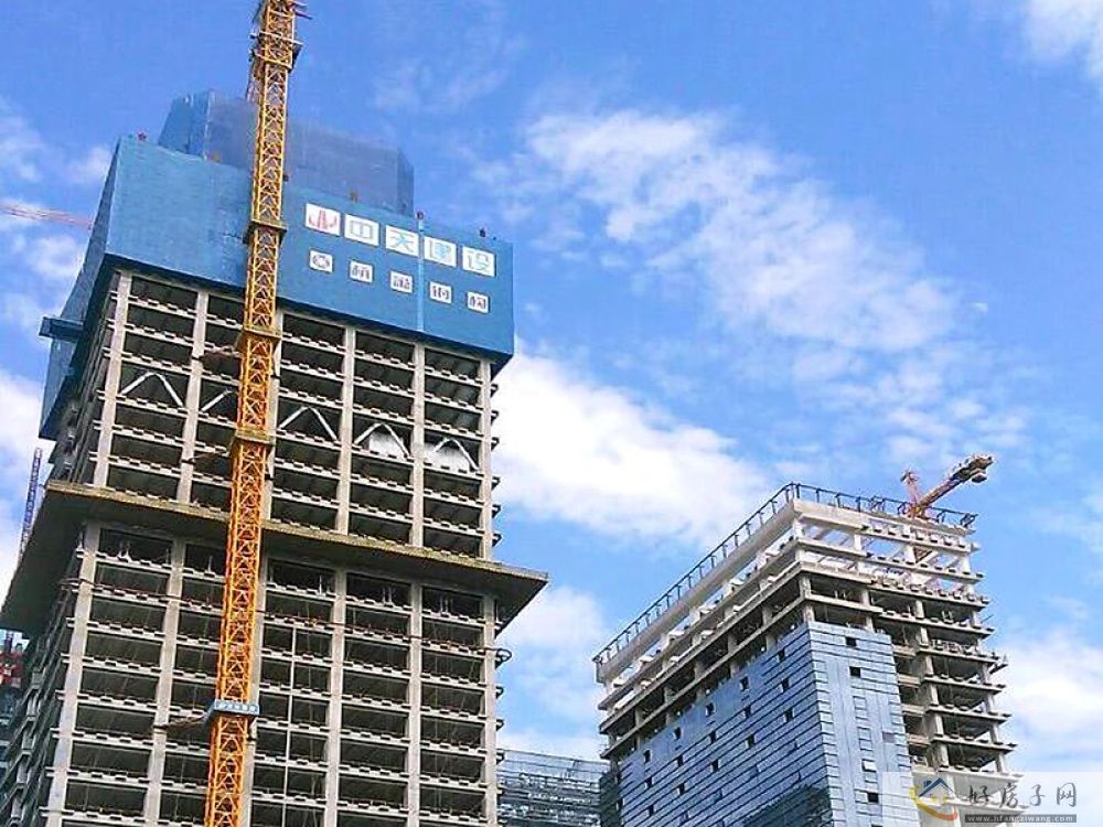实景图