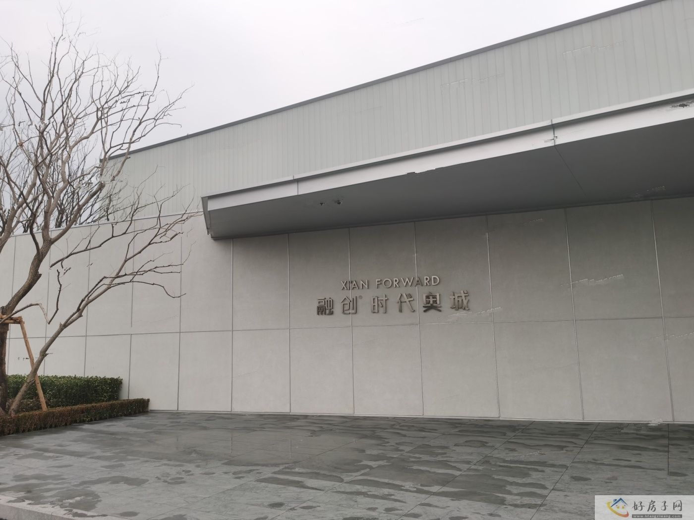 实景图
