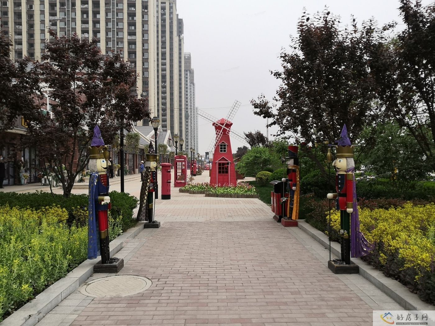 实景图