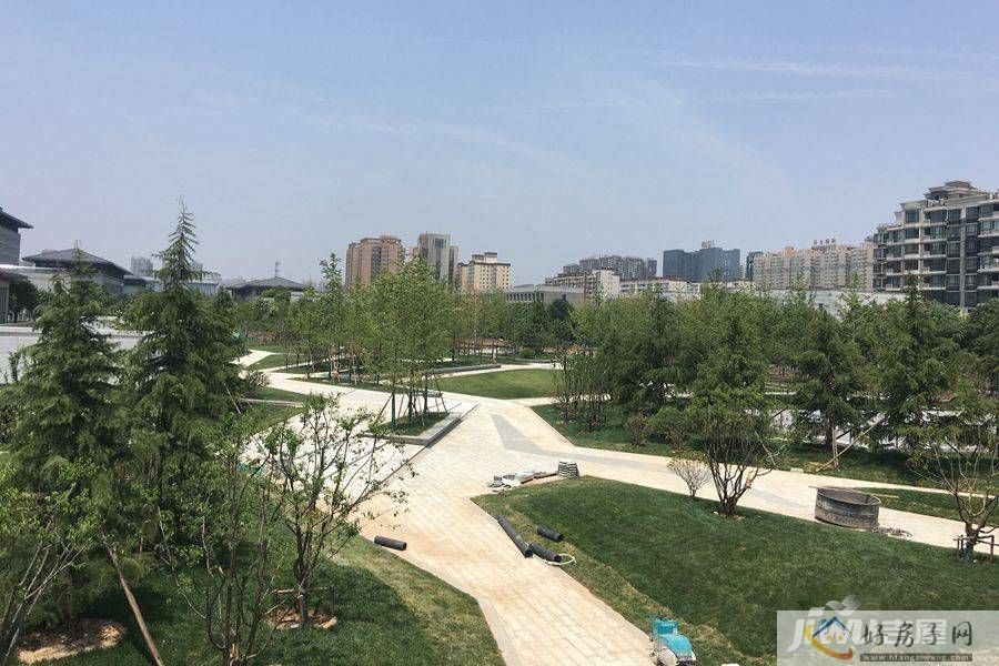 实景图