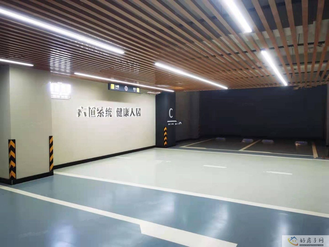 实景图